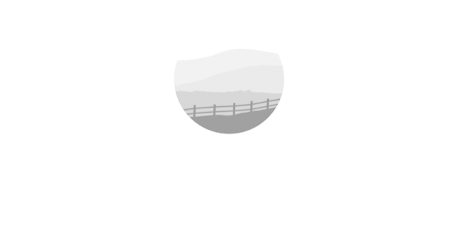 Walnut Level Capital