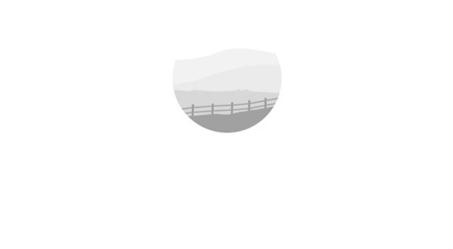 Walnut Level Capital